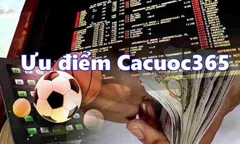 Khám phá kèo viet nam cùng bí quyết phân tích kèo viet nam hiệu quả