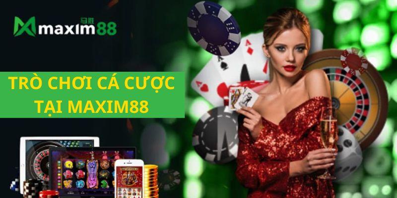 Khám phá cách chơi lieng trên zing me và bí quyết thắng lớn khi chơi lieng trên zing me
