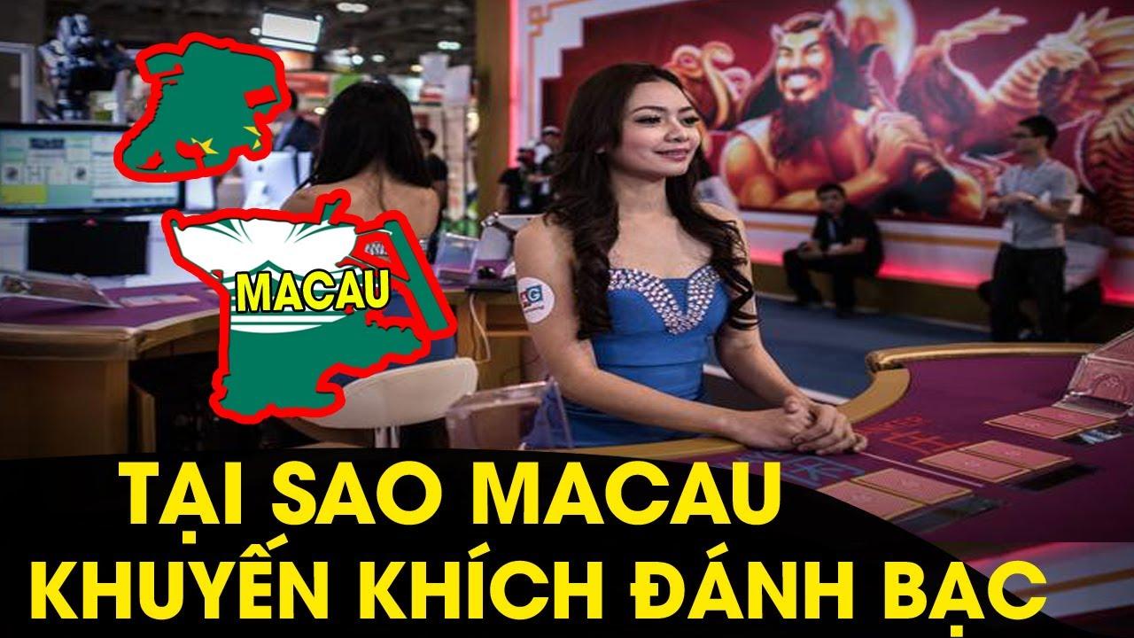 Nhận định bóng đá mobi cập nhật nhận định bóng đá mobi mỗi ngày