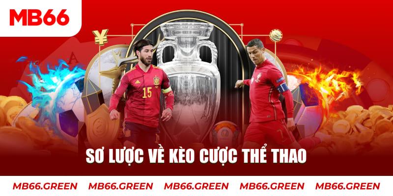 Khám phá bóng da lu và cách chơi bóng da lu hiệu quả cho người mới